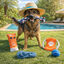 Summer Vibes The Beach Club Set Juguetes para perros, , large indicador imagen numero 3