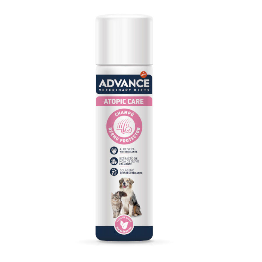 Advance Atopic Care Champú para perros y gatos