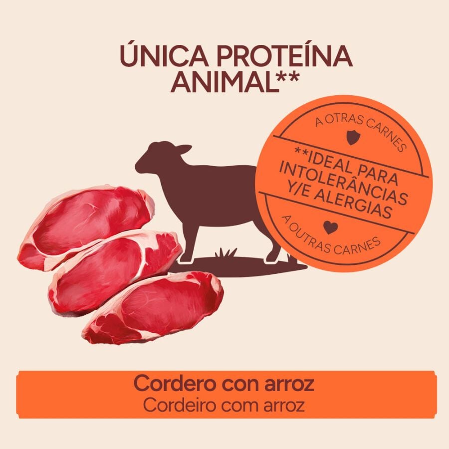 400 g Criadores Monoproteico Cordero y Arroz lata para perros, , large Imagen numero 3
