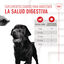 Royal Canin Digestion Chews Suplemento Nutricional para perros con sensibilidad, , large indicador imagen numero 5