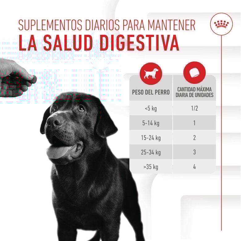160 g Royal Canin Digestion Chews Suplemento Nutricional para perros con sensibilidad,  Imagen numero 5 160 g Royal Canin Digestion Chews Suplemento Nutricional para perros con sensibilidad, , large Imagen numero 5