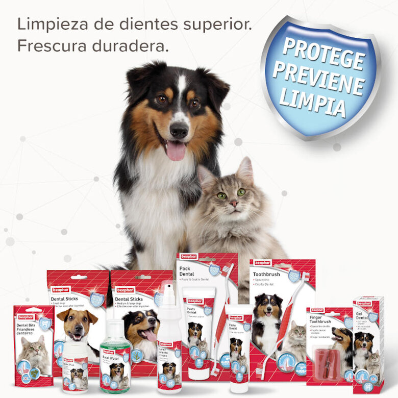 Beaphar Polvo Dental Plus para perros y gatos, , large image number null