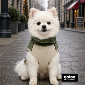 Gotoo Jersey Polar Verde para perros