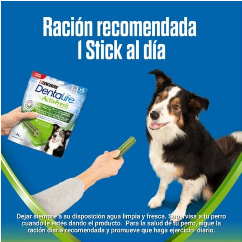 Dentalife Snacks Dentales Medium ActivFresh para perros, , large image number null