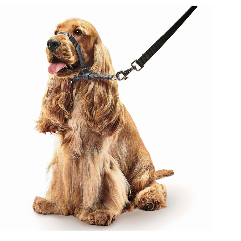Beaphar Gentle Leader Collar de adiestramiento Negro para perros, , large image number null