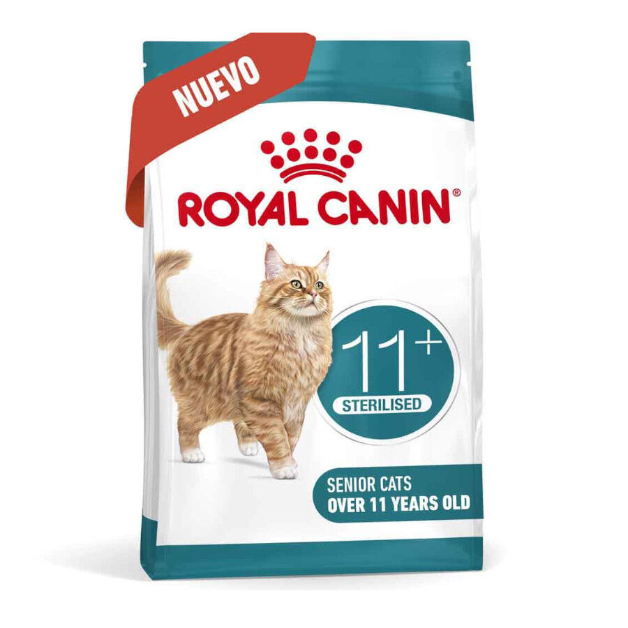Royal Canin Ageing 11+ Sterilised pienso para gatos thumbnail