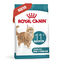 4 kg Royal Canin Ageing 11+ Sterilised pienso para gatos, , large indicador imagen numero 2