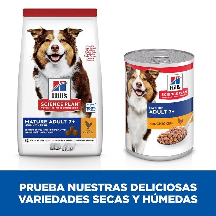 Hill&#039;s Science Plan Mature Adult Medium Pollo pienso para perros thumbnail