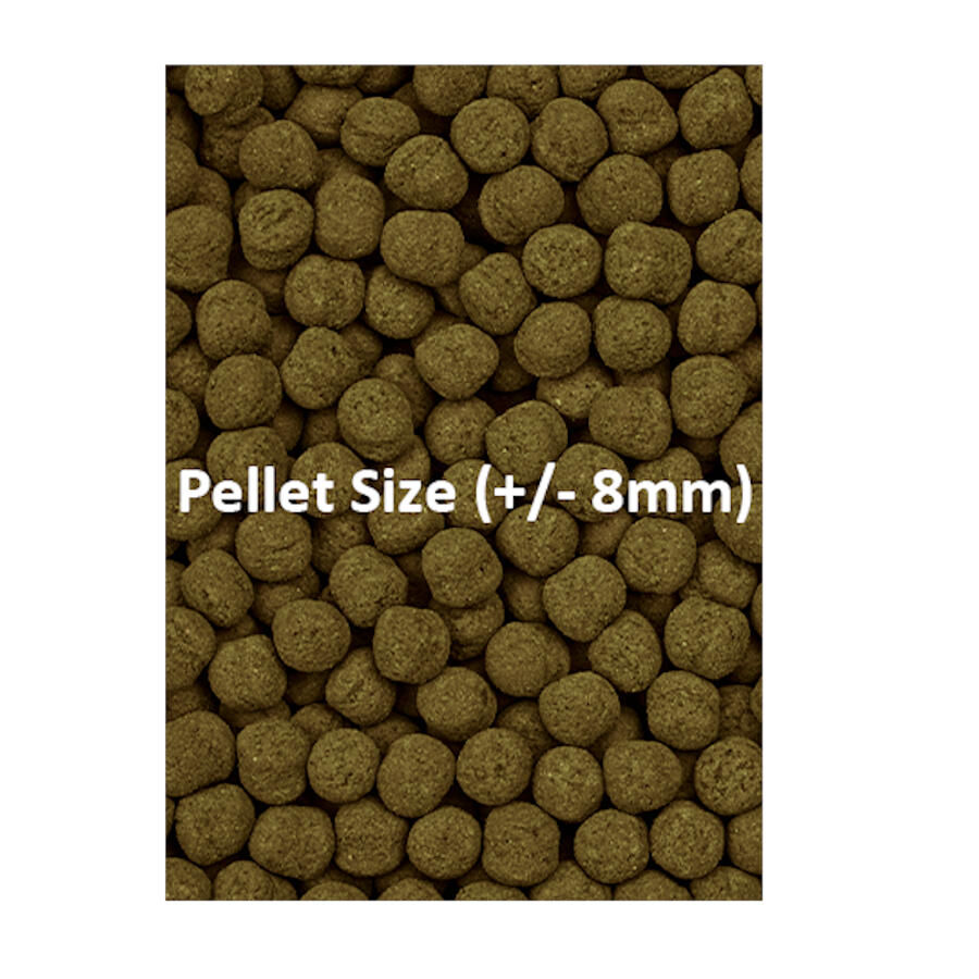 Ocean Nutrition Formula Two Marine Pellet para peces tropicales thumbnail