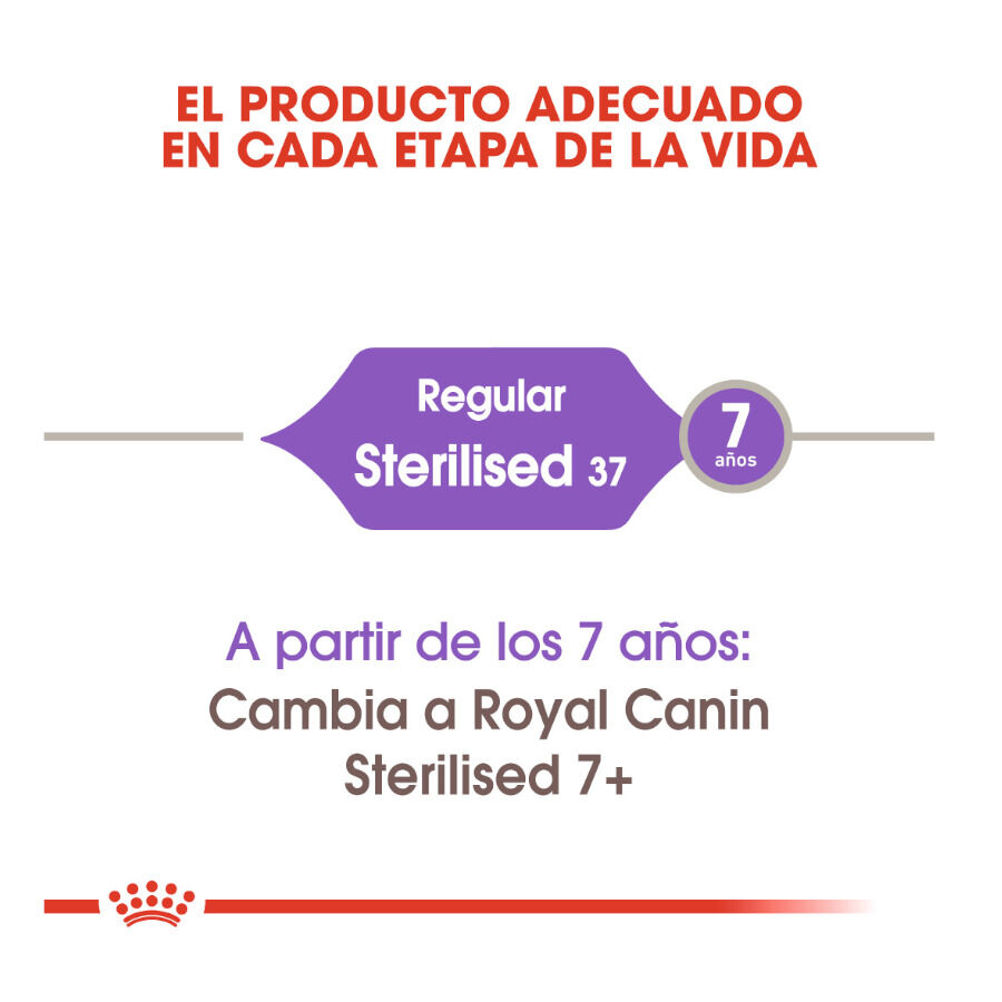 Royal Canin Regular Sterilised 37 pienso para gatos thumbnail