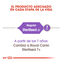 12 kg (10 + 2 kg ¡gratis!) Royal Canin Regular Sterilised 37 pienso para gatos, , large indicador imagen numero 4