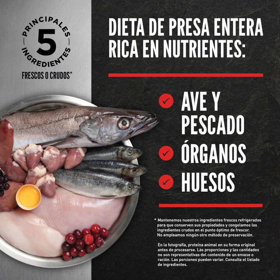 Orijen Tundra Pienso Seco Cordero y Ciervo para perros thumbnail