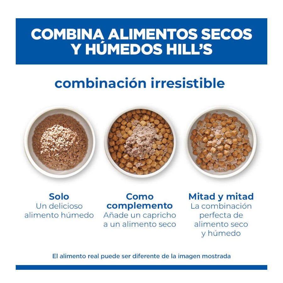 363 g Hill's Science Plan Hypoallergenic Alimento H&uacute;medo con Salm&oacute;n para Perros Adultos, , large Imagen numero 6