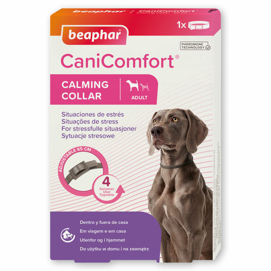 Beaphar CaniComfort Collar Calmante 45 cm para perros, , large Imagen numero 1
