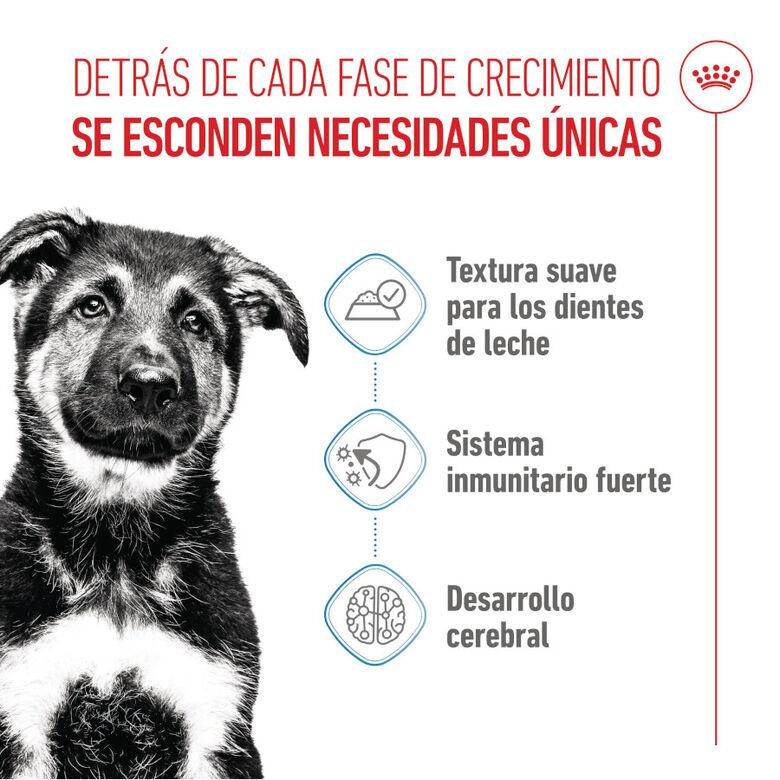 Royal Canin Húmedo Maxi Puppy sobre para perros thumbnail