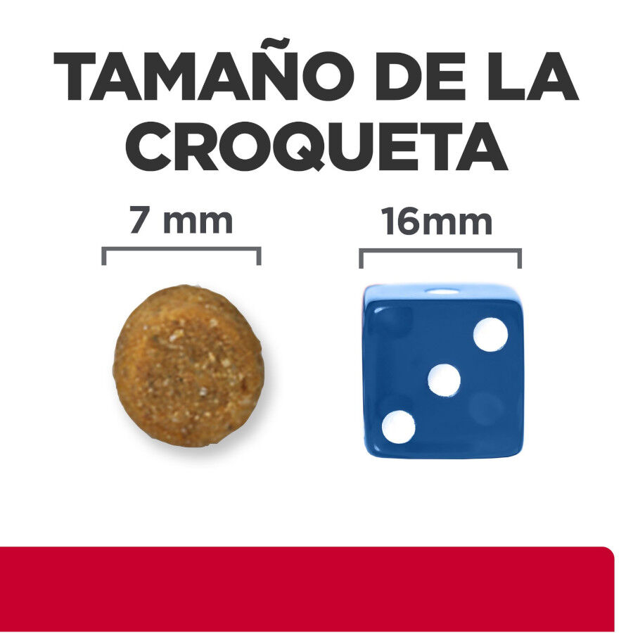 3 kg Hill's Prescription Diet Urinary Care c/d pescado azul pienso para gatos, , large Imagen numero 7