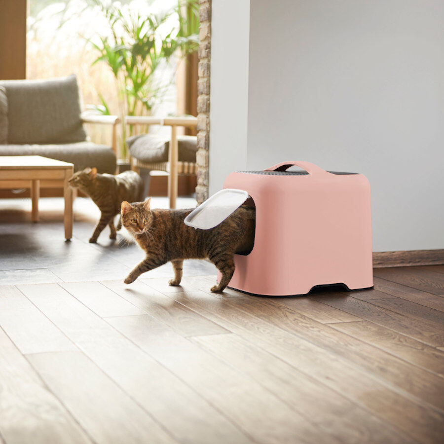 Rotho Biala Eco Arenero Rosa para gatos thumbnail