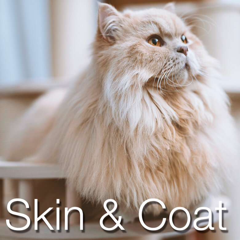 2.5 kg Catxtreme Adult Skin & Coat Sterilised Pollo pienso para gatos,  Imagen numero 4 2.5 kg Catxtreme Adult Skin & Coat Sterilised Pollo pienso para gatos, , large Imagen numero 4