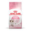 10 kg Royal Canin Kitten pienso para gatos, , large indicador imagen numero 1