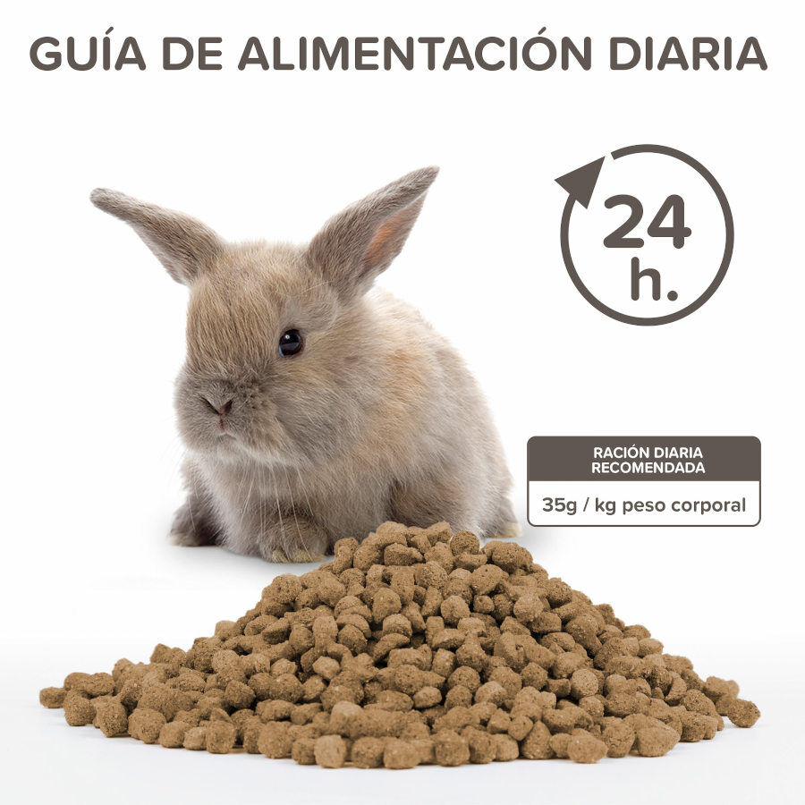 Beaphar Care+ Conejo Junior alimento para conejos, , large Imagen numero 4