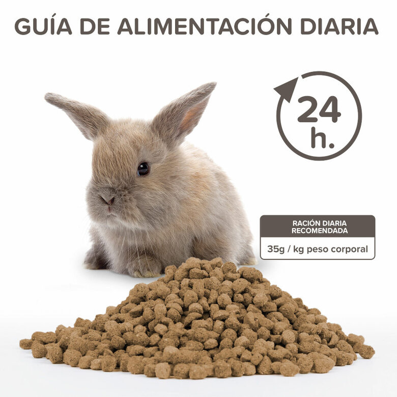 Beaphar Care+ Conejo Junior alimento para conejos, , large image number null