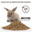 Beaphar Care+ Conejo Junior alimento para conejos, , large indicador imagen numero 4