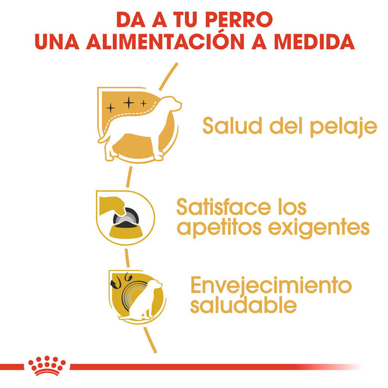 Royal Canin Adult Yorkshire Terrier pienso para perros thumbnail