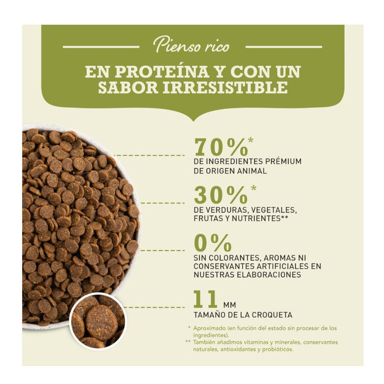 2 kg Acana Puppy Medium pienso para perros,  Imagen numero 6 2 kg Acana Puppy Medium pienso para perros, , large Imagen numero 6