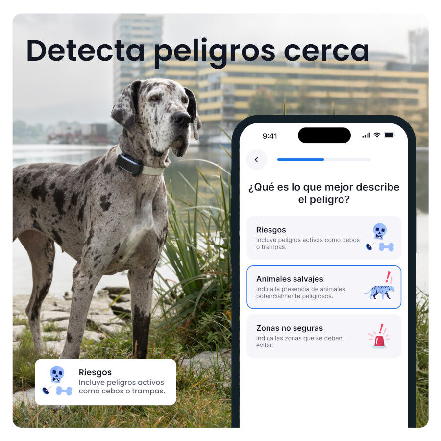Tractive Dog 6 XL Negro GPS para perros, , large Imagen numero 4