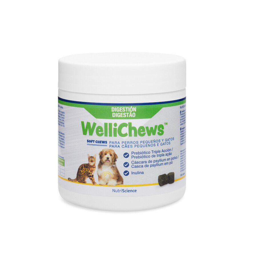 Swedencare Welli Digest Suplemento Digestivo con Prebi&oacute;ticos para perros y gatos, , large Imagen numero 1
