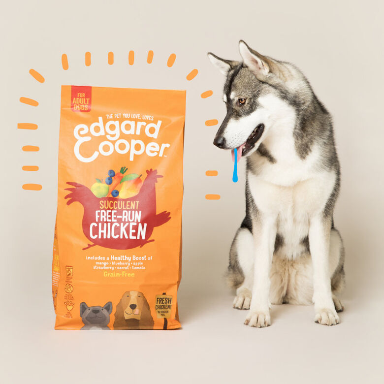 Edgard &amp; Cooper Adult Pollo pienso para perros thumbnail