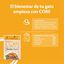 85 g Wellness Core Tender Cuts Pollo Sobre en salsa para gatos, , large indicador imagen numero 4