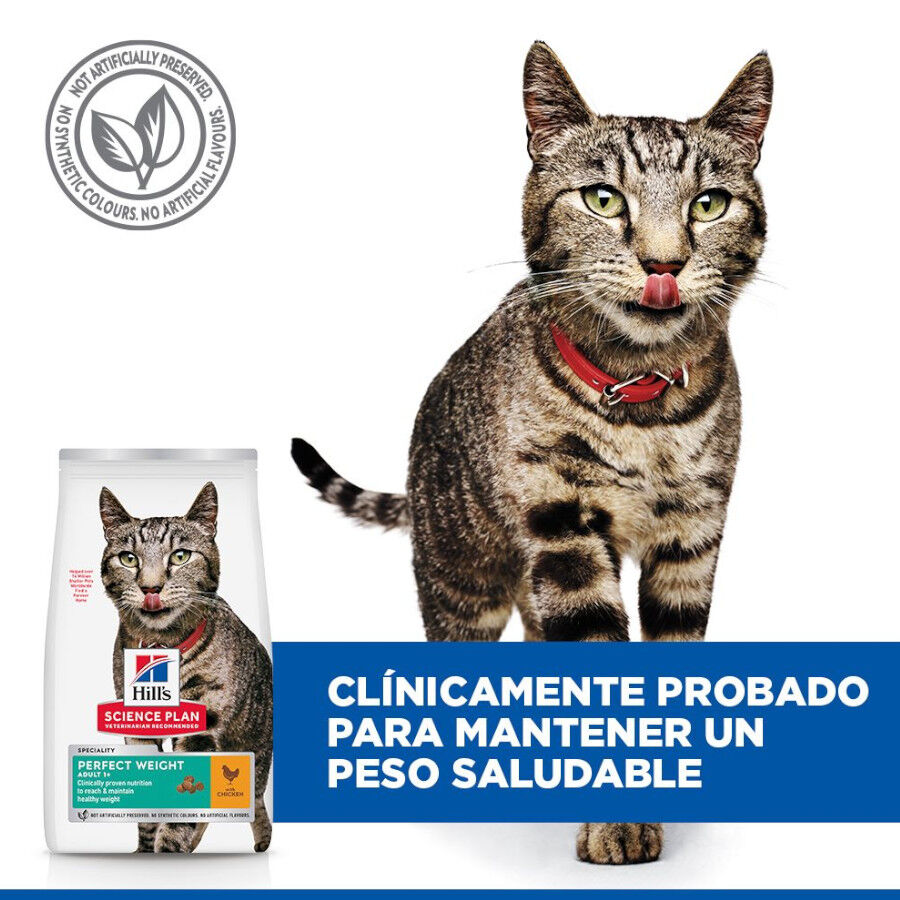 Hill&#039;s Science Plan Perfect Weight Adult pollo pienso para gatos thumbnail