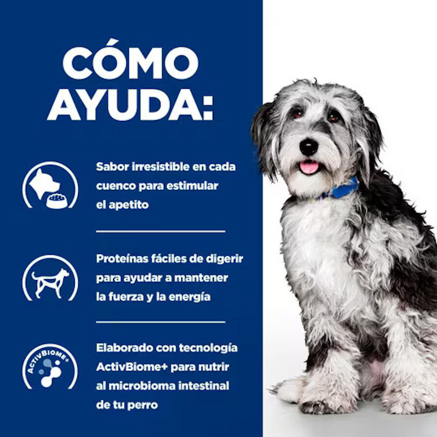 345 g Hill's Prescription Diet ON-Care Estofado de Pollo y Vegetales lata para perros, , large Imagen numero 3