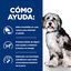 Hill's Prescription Diet ON-Care Estofado de Pollo y Vegetales lata para perros, , large indicador imagen numero 3