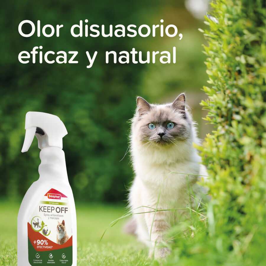 Beaphar Spray Educador Exteriores para Gatos thumbnail
