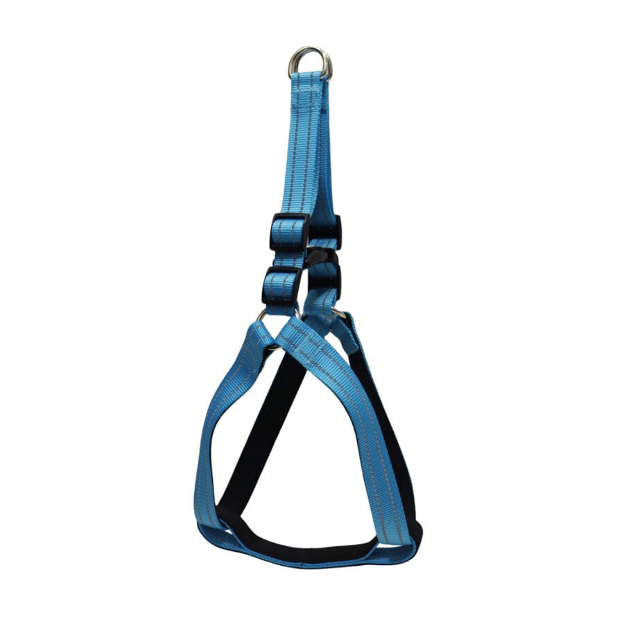 Gotoo Arn&eacute;s reflectante de neopreno azul para perros, , large Imagen numero 1