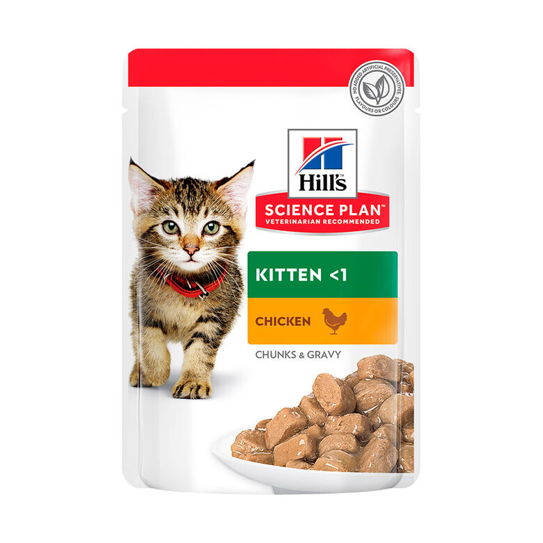 Hill&#039;s Science Plan Kitten Pollo sobre en salsa