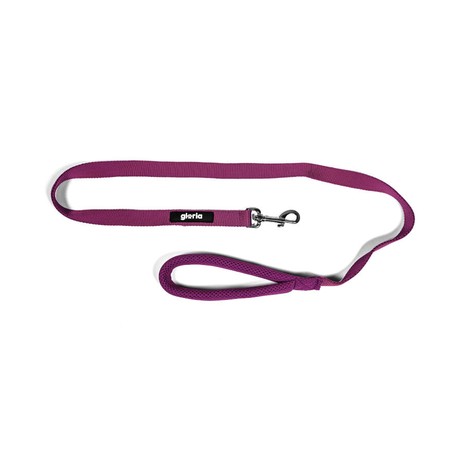 Gloria Air Mesh Trek Star Correa Morada para perros, , large Imagen numero 4