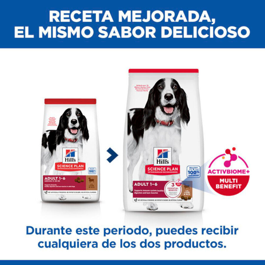 18 kg Hill's Science Plan Adult Medium Cordero y Arroz pienso para perros, , large Imagen numero 3