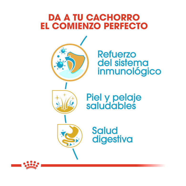 Royal Canin Puppy Shih Tzu pienso para perros thumbnail