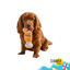 Summer Vibes Pawperol Spritz Peluche Juguete para perros, , large indicador imagen numero 6