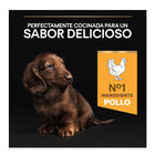 Pro Plan Puppy Small y Mini Pollo pienso para perros, , large image number null