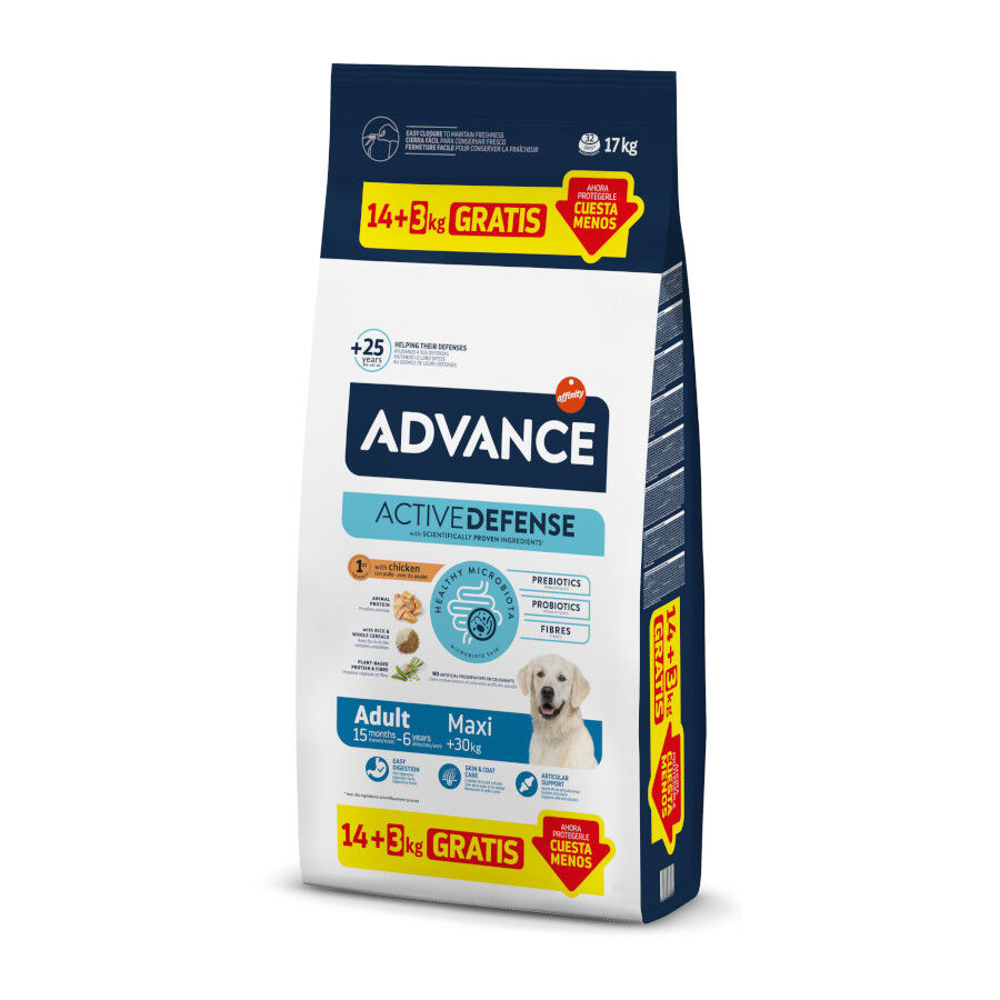 Advance Active Defense Maxi Adult pollo y arroz pienso para perros