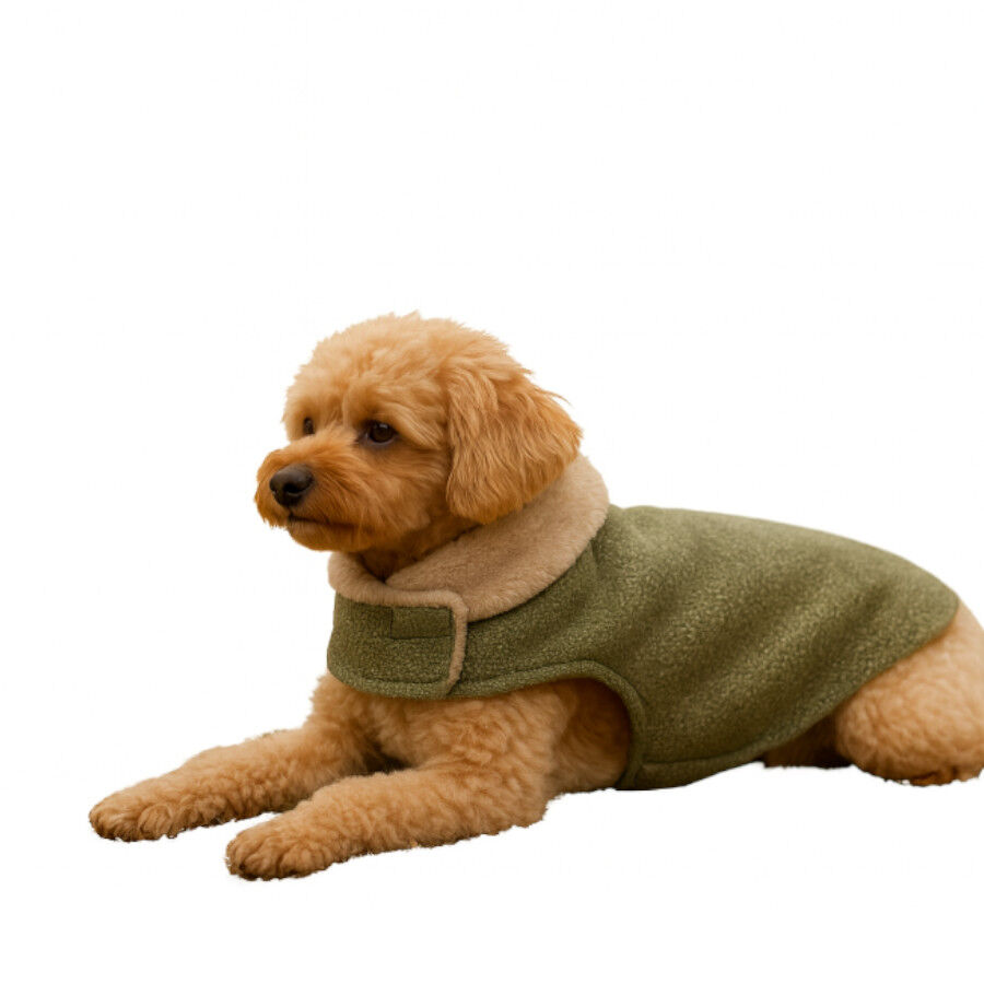 Outech Abrigo Brandy para perros thumbnail