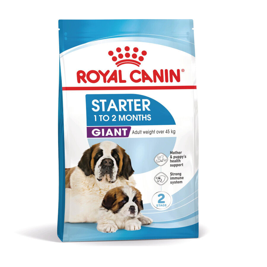 Royal Canin Starter Puppy Giant Pienso para perros thumbnail