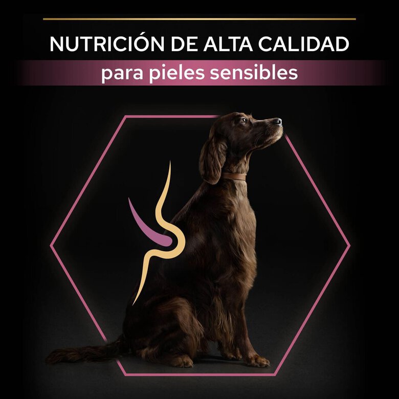 14 kg Pro Plan Large Athletic Adult Salmón piel sensible pienso para perros,  Imagen numero 8 14 kg Pro Plan Large Athletic Adult Salmón piel sensible pienso para perros, , large Imagen numero 8