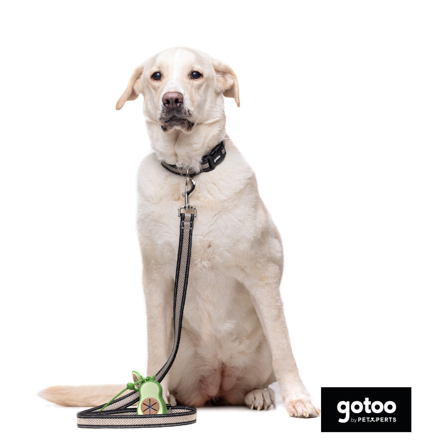 Gotoo Porta bolsas silicona avocado para perros thumbnail