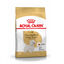 3 kg Royal Canin Adult White Terrier West Highland pienso para perros, , large indicador imagen numero 1