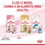 85 g Royal Canin Kitten Sterilised salsa sobre para gatos, , large indicador imagen numero 7